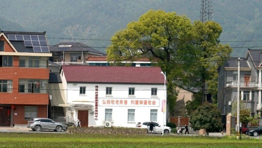 张仲麟：智驾宣传不能再含糊其辞了,香港澳门高级内部vip资料,展开解析落实_户外版V13.39